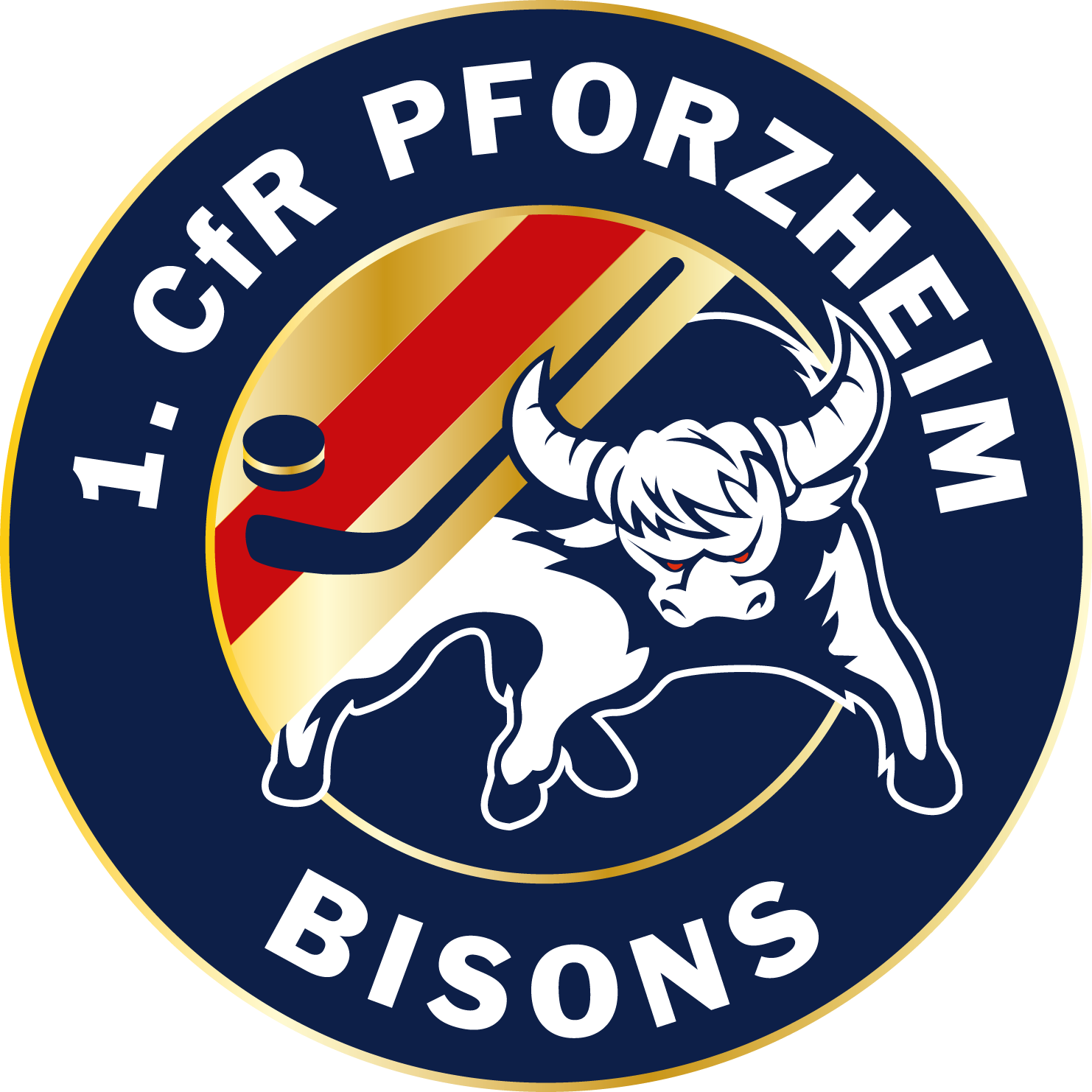  Logo Pforzheim Bisons