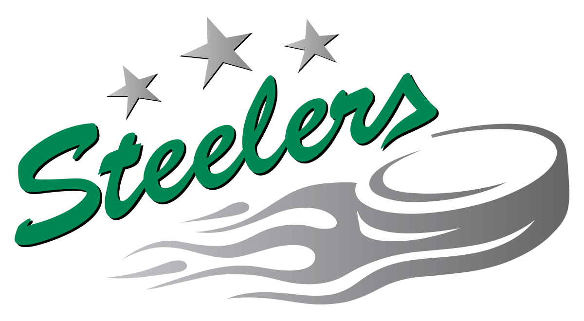  Logo Bietigheim Steelers