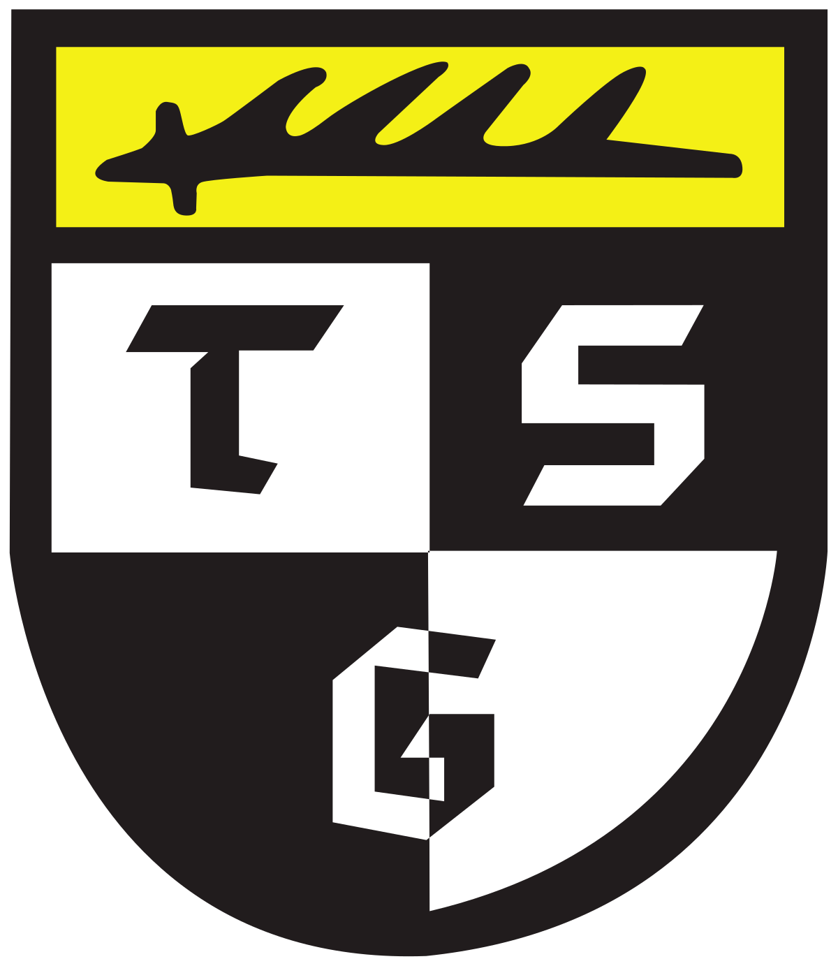  Logo TSG Balingen